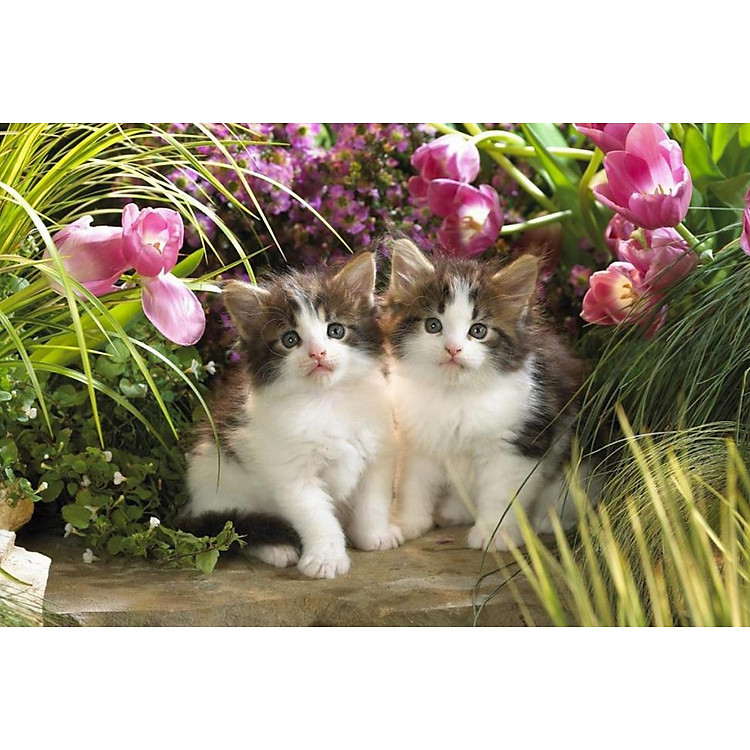 Mua Bộ tranh xếp hình 150 mảnh - Miu Con Chính hãng Giá rẻ - Hình ảnh 3