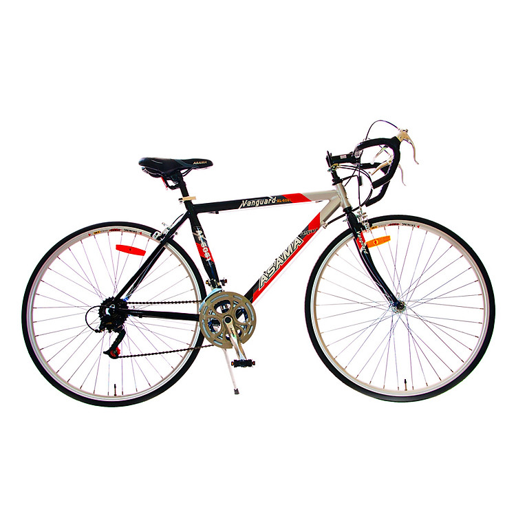 Xe Đạp Thể Thao Asama RB 002