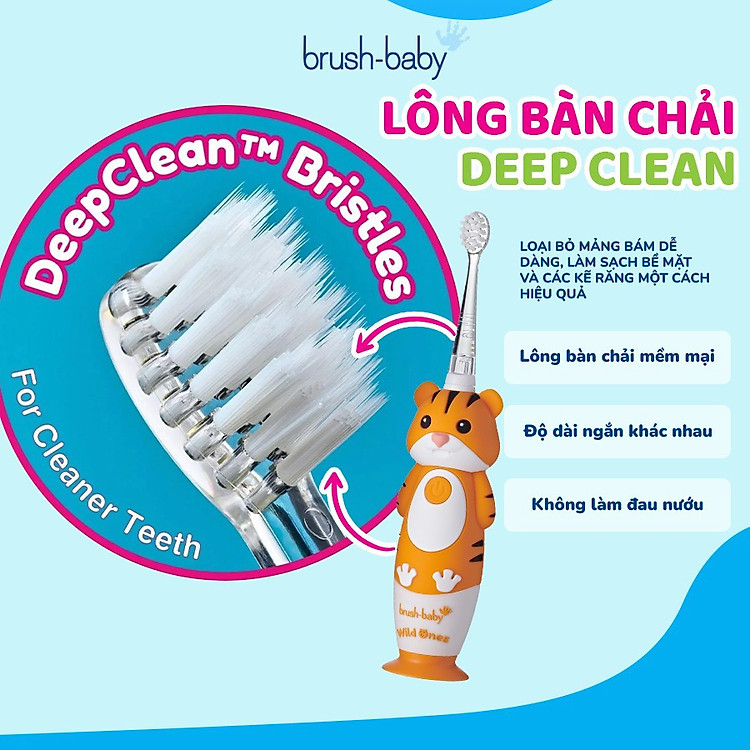 Bàn chải điện Brush-Baby WildOnes cho bé Chính hãng Ưu đãi - Hình ảnh 4