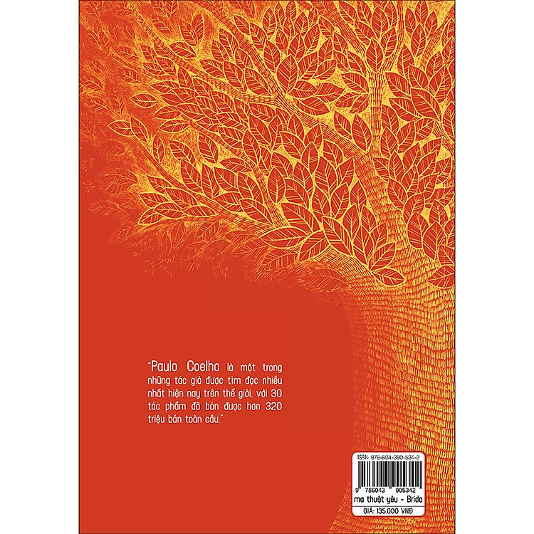 Brida: Ma Thuật Yêu - Ảnh 2