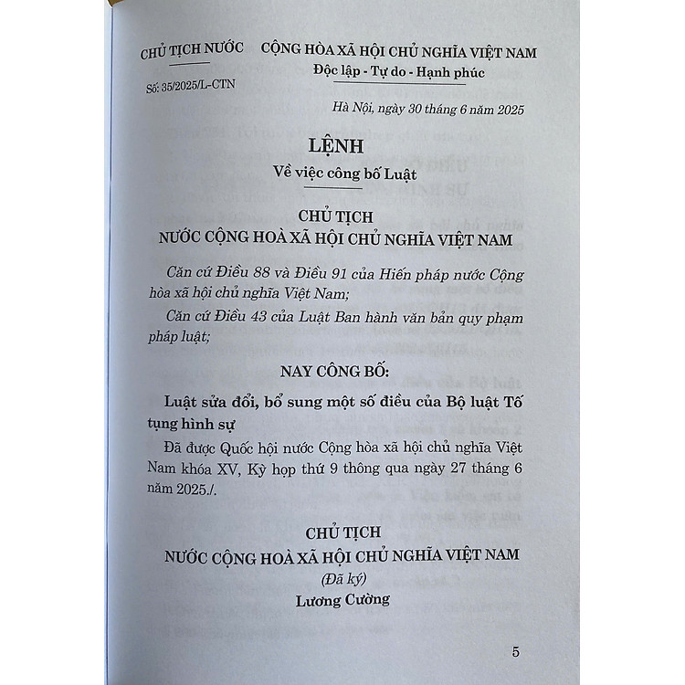 Luật Sửa Đổi, Bổ Sung Một Số Điều Của Bộ Luật Hình Sự Năm 2025 - Ảnh 2