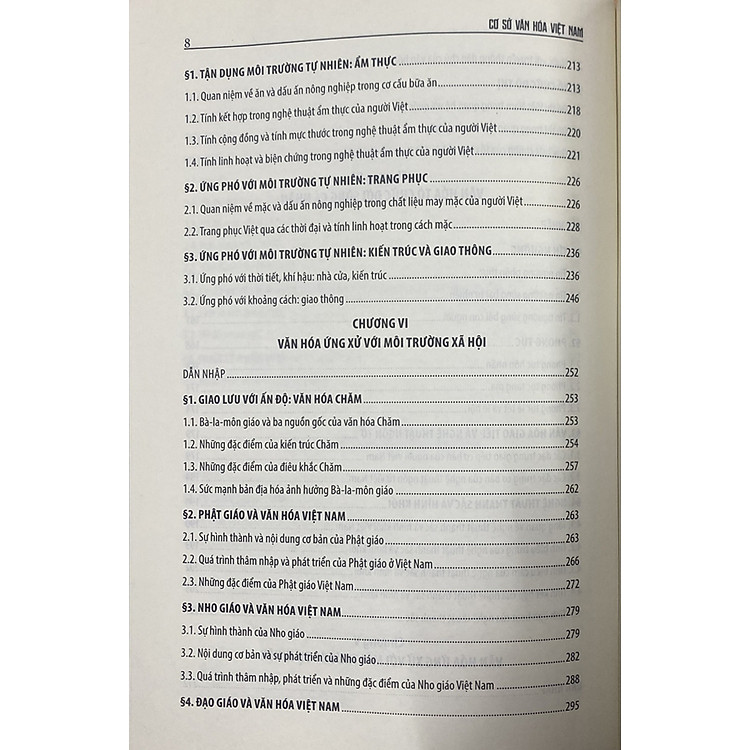 Cơ sở văn hóa Việt Nam (Bản mới) - Ảnh 7