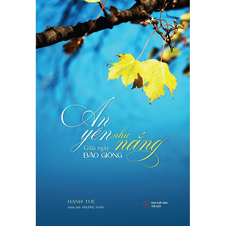 An Yên Như Nắng Giữa Ngày Bão Giông - Ảnh 2