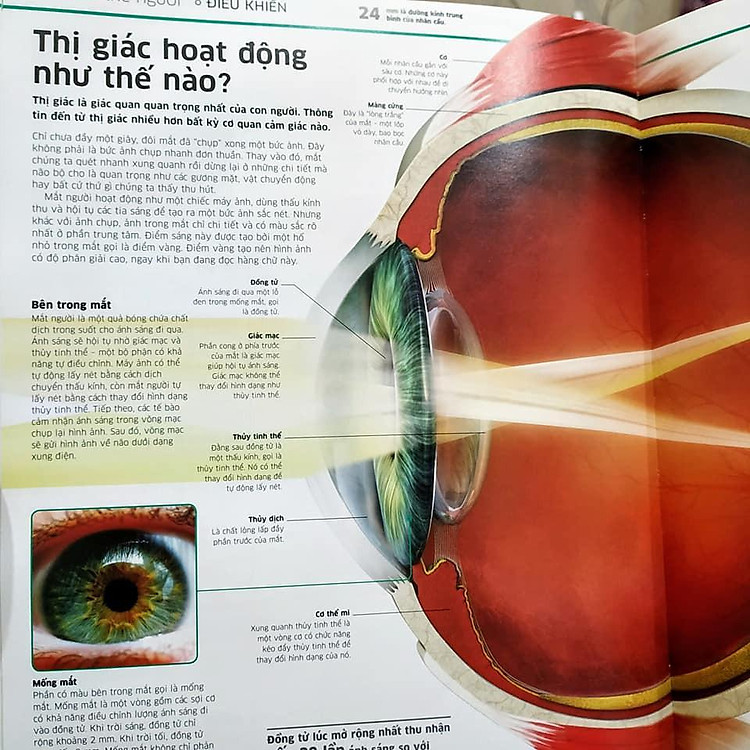 Tri thức về vạn vật - Ảnh 6