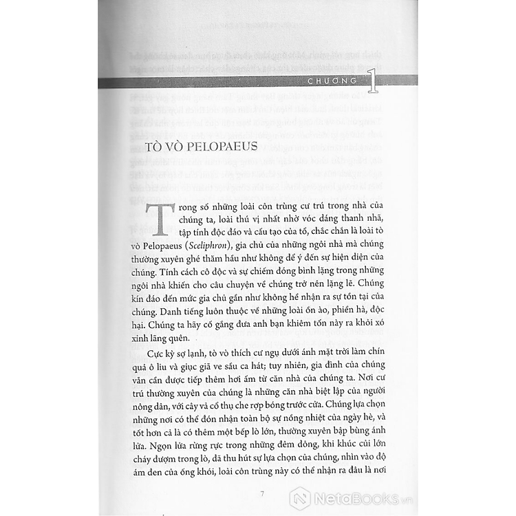 Côn Trùng Ký – Tập 4 (Ấn Bản Đầy Đủ Nhất) - Ảnh 3