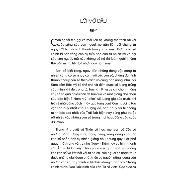 Thần Số Học Chữa Lành - Ảnh 3
