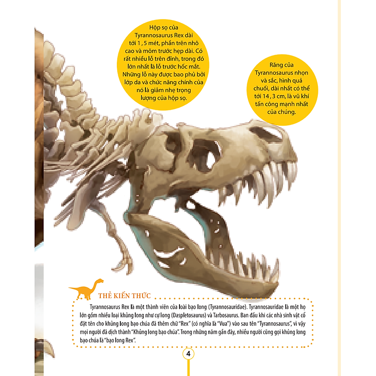 Kiến Thức Về Khủng Long - Khủng Long Tyrannosaurus Rex Tại Sao Được Gọi Là Bạo Chúa ? Tấn Công Và Phòng Thủ Của Khủng Long - Ảnh 4