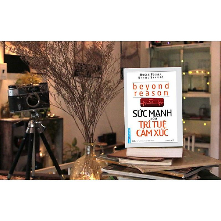 Sức Mạnh Của Trí Tuệ Cảm Xúc - Ảnh 3