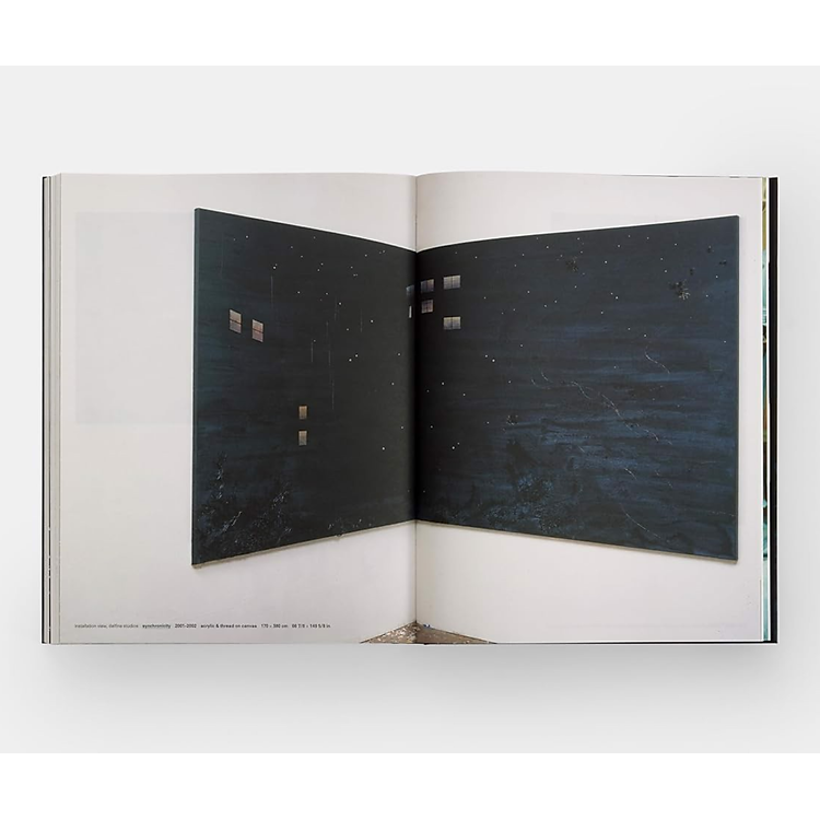 Artbook - Sách Tiếng Anh - Michael Raedecker - Ảnh 7