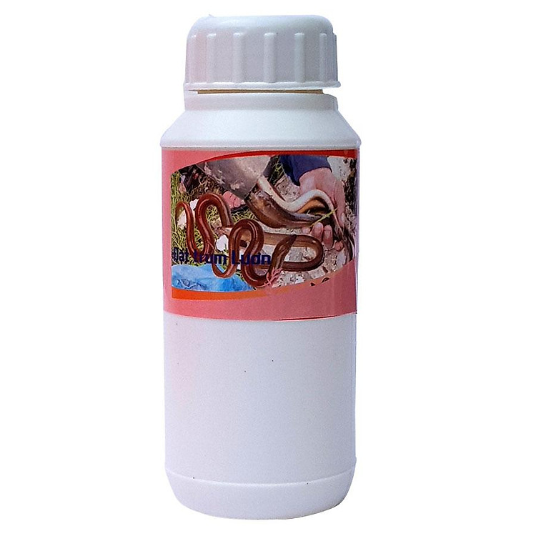 Mồi đạt trúm lươn nhạy gấp 3