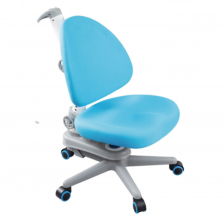 Ghế chống gù DNC_C403