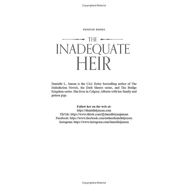 The Bridge Kingdom 3: The Inadequate Heir - Ảnh 2