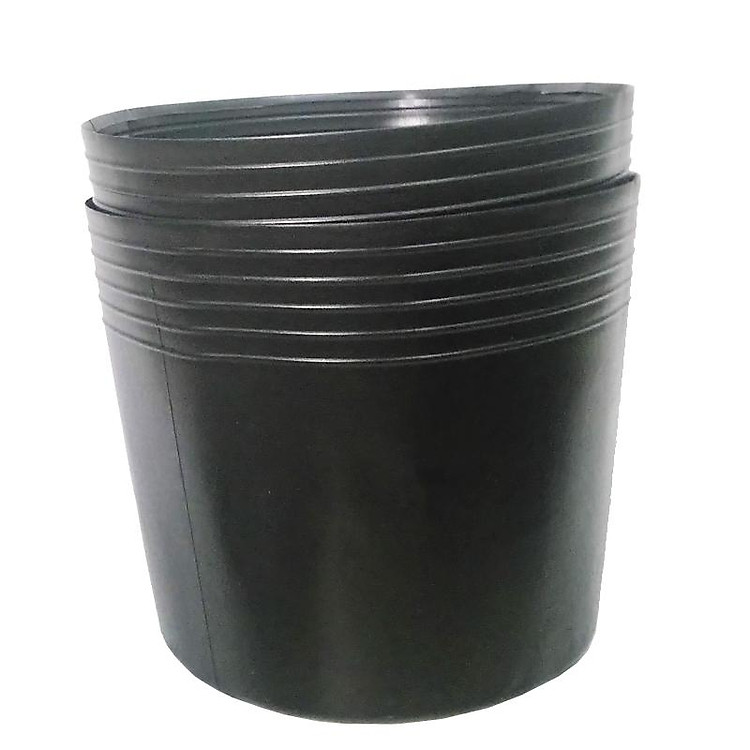 50 Chậu nhựa trồng cây C6 15x11x11 trồng cây và ươm cây gióng-0277100