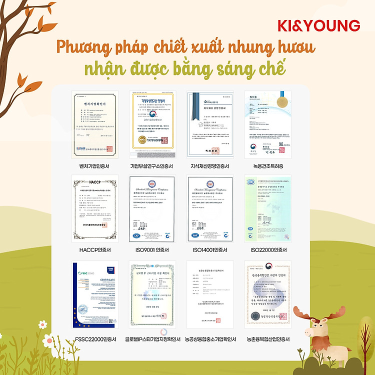 Gạc hươu non Ki&Young cho trẻ 1+ Uy tín Tiết kiệm - Hình ảnh 5