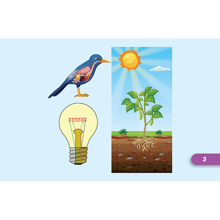 Tiếng Anh 5 i-Learn Smart Start - Student's Cards - Ảnh 6