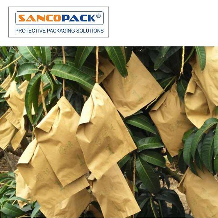 Bao Giấy Bọc Trái Cây Chống Côn Trùng