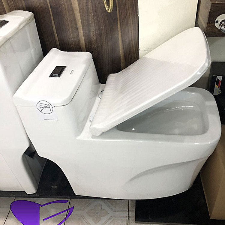 Bệt sứ cao cấp GROLER GR-B225V