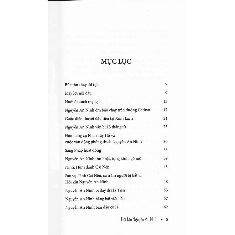 Hội Kín Nguyễn An Ninh - Ảnh 3