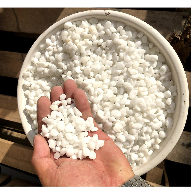 5 kilogam đá trang trí cây trồng - chậu nuôi cá SS2