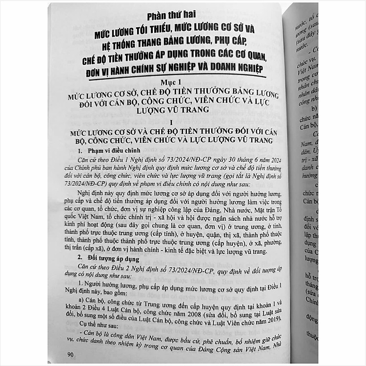 Bộ Luật Lao Động Và Hệ Thống Thang Bảng Lương (V2458T) - Ảnh 4
