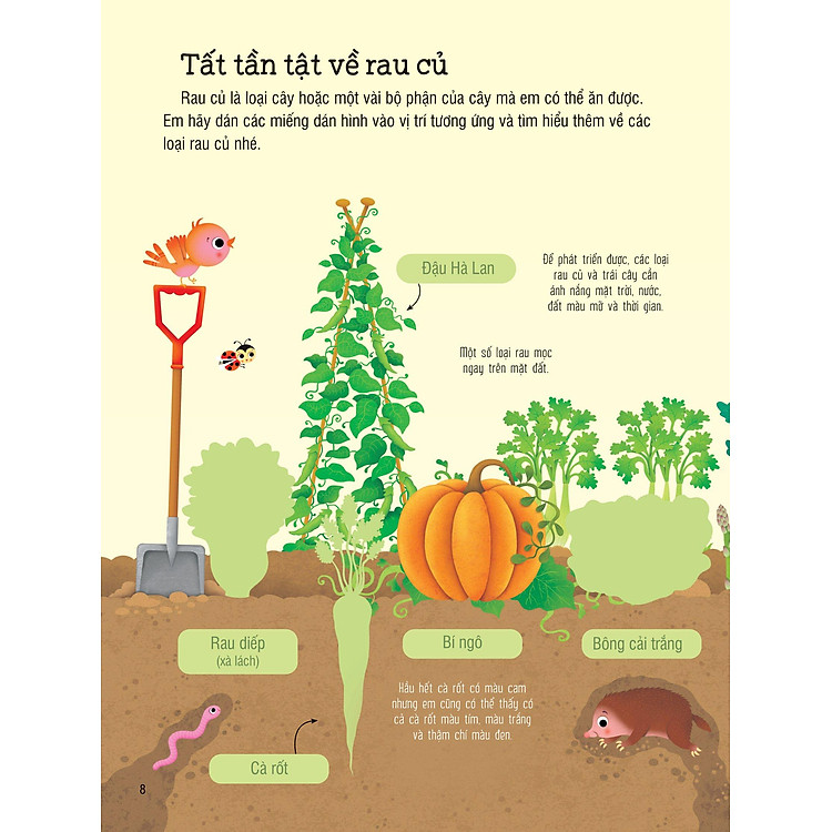 First Sticker Book - Sách Dán Hình Đầu Đời Cho Bé - Trái Cây Và Rau Củ - Ảnh 4