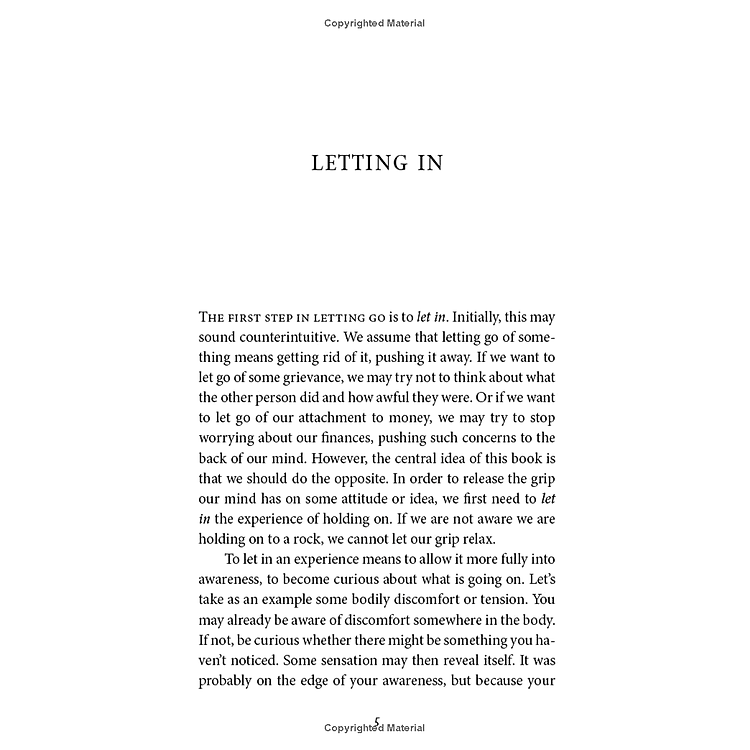 Letting Go Of Nothing: Relax Your Mind And Discover The Wonder Of Your True Nature (An Eckhart Tolle Edition) - Ảnh 5