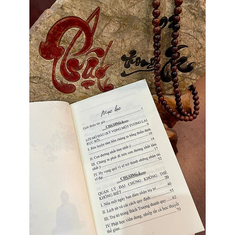 Thúc Đẩy Giáo Dục Phật Giáo - Nếu Không Phải Chúng Ta Thì Là Ai - Ảnh 4