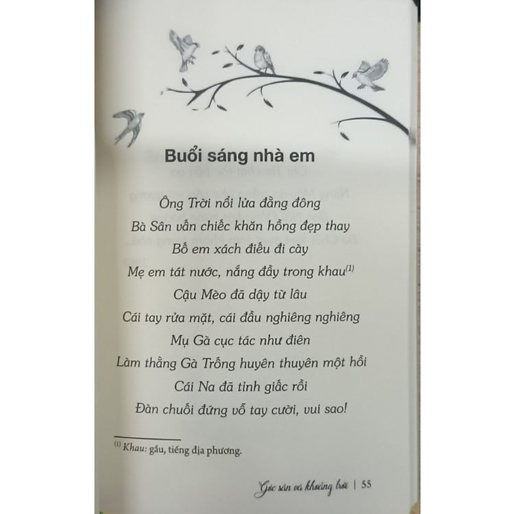 Góc sân và khoảng trời - Ảnh 6