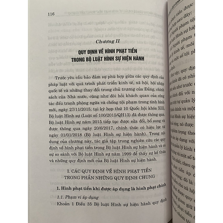 Hình Phạt Tiền Trong Pháp Luật Hình Sự Việt Nam Và Thực Tiễn Áp Dụng - Ảnh 6