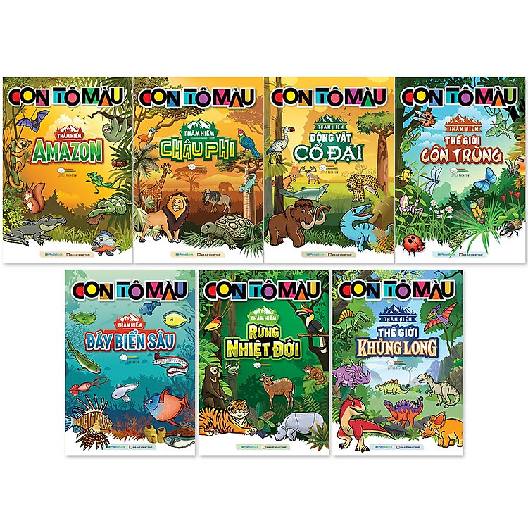 Con Tô Màu Thám Hiểm