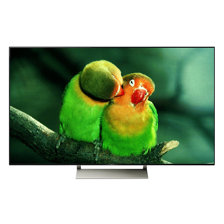 Smart Tivi Sony 4K 65 inch KD-65X9300E
