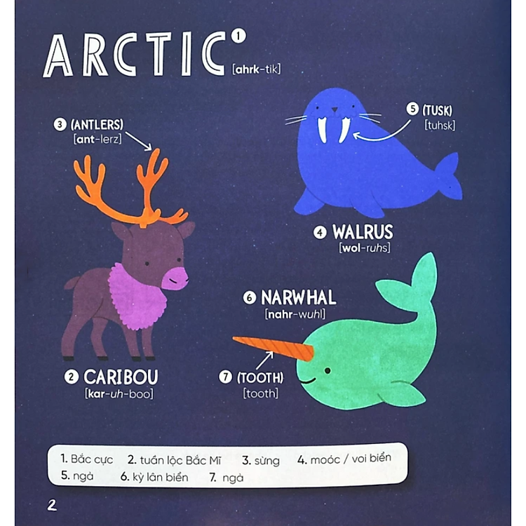 Steam Words: Animals - Từ Vựng Về Động Vật - Ảnh 3