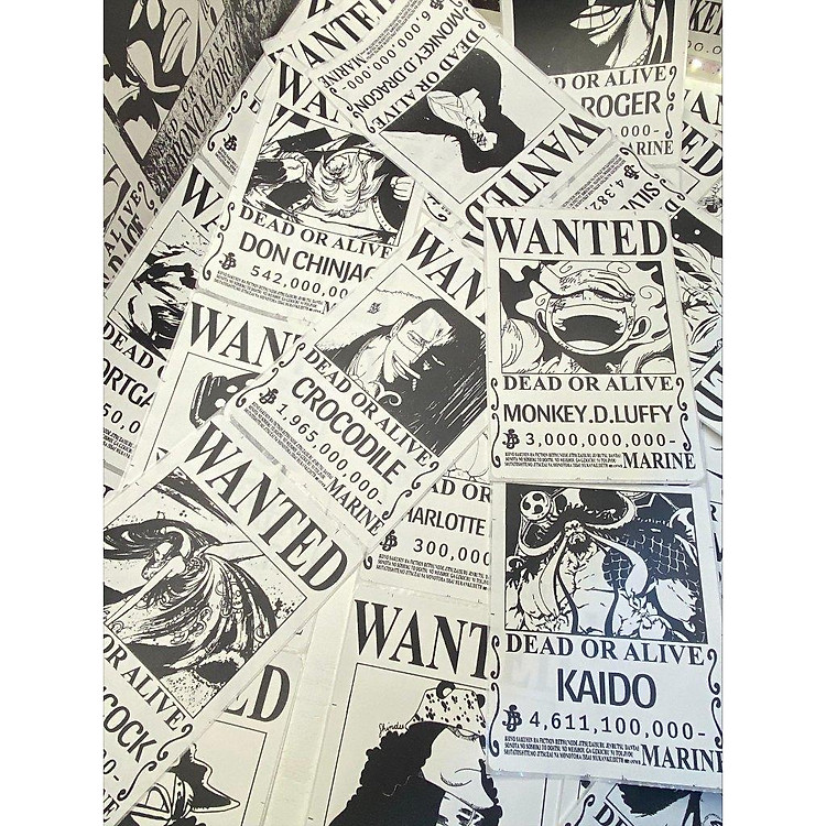 Poster Truy Nã One Piece KINGFIGURE (100 chiếc) - Ảnh 4