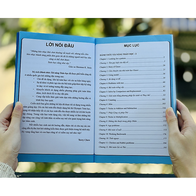 Đánh Thức Tài Năng Toán Học 2, 3, 4 - Ảnh 4