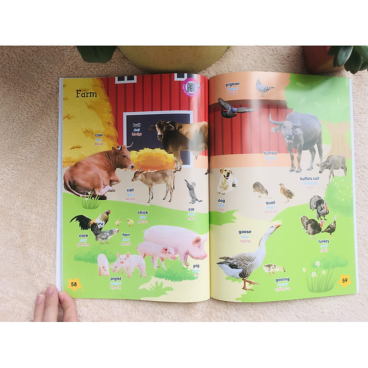 BÉ CHINH PHỤC TIẾNG ANH THEO CHỦ ĐỀ - Ảnh 3