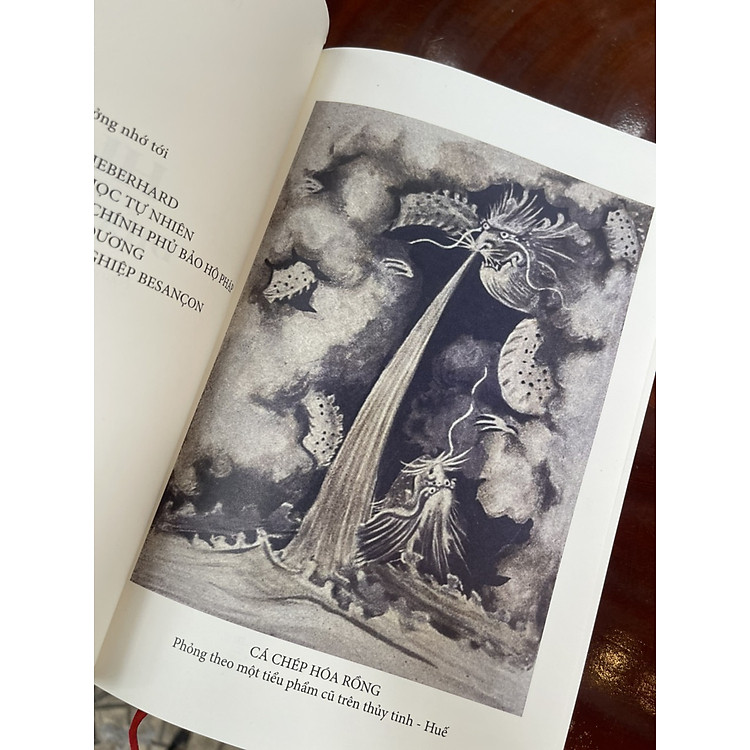 HUẾ - ĐIỀU KỲ BÍ - Ảnh 2