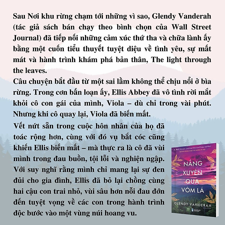 Nắng Xuyên Qua Vòm Lá - Ảnh 3