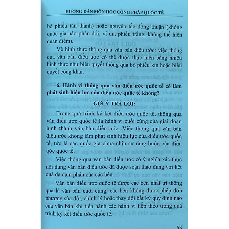 Hướng Dẫn Môn Học Công Pháp Quốc Tế (Tái Bản Năm 2023) - Ảnh 2