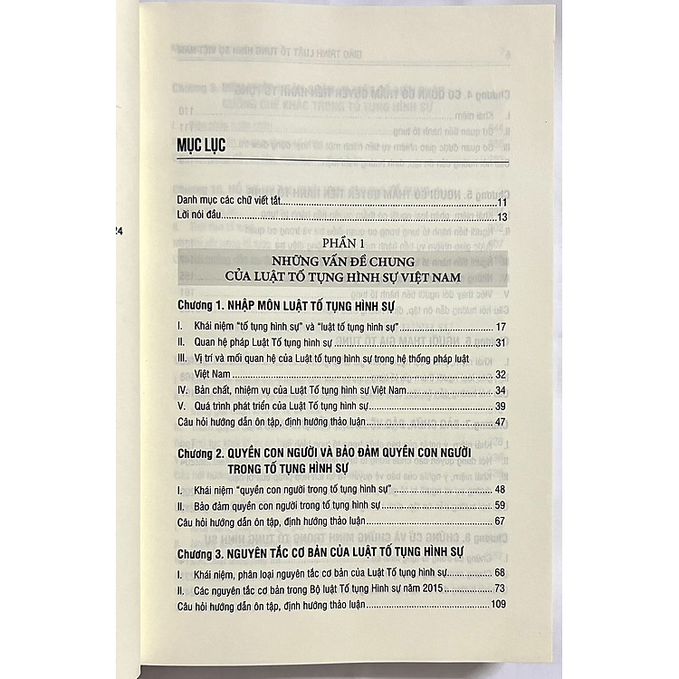 Giáo Trình Luật Tố Tụng Hình Sự Việt Nam - Ảnh 4