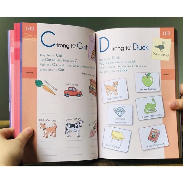 Braint Quest Workbook Pre K (AC) - Ảnh 4