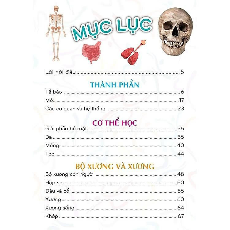 500 Bách Khoa Tri Thức - Cơ Thể Người - Ảnh 3