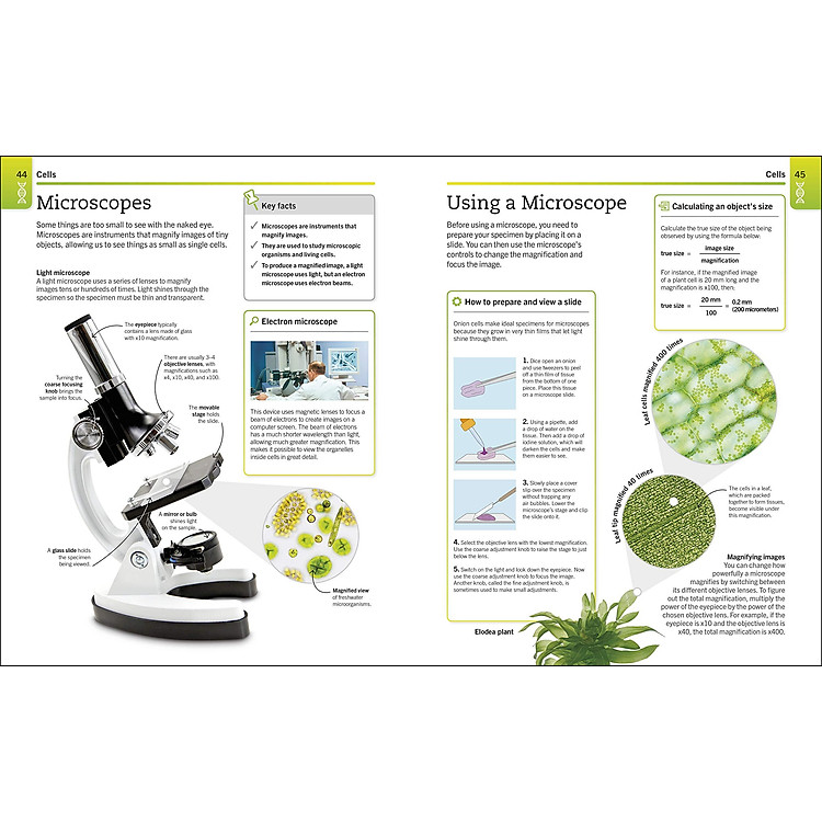 Biology: The Ultimate Bitesize Study Guide (Supersimple) - Ảnh 6
