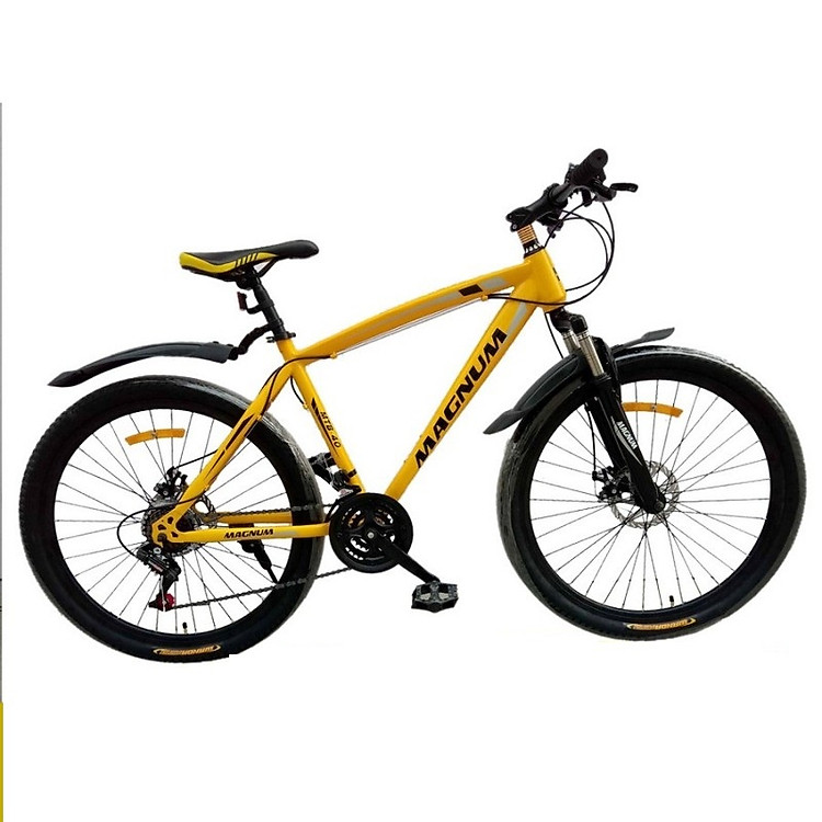 Xe đạp thể thao MAGNUM MTB-P040