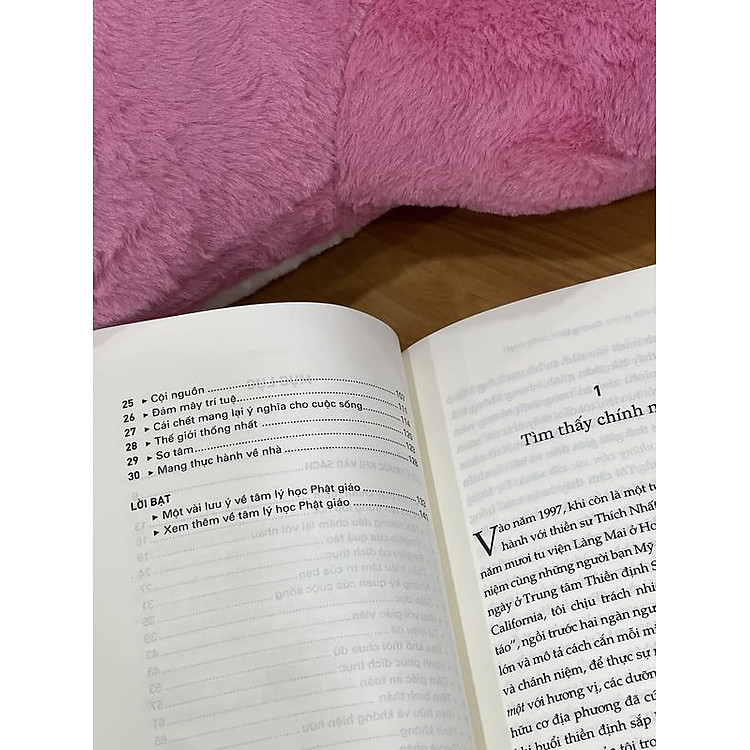 Hạnh phúc không quan trọng đến thế - Ảnh 5