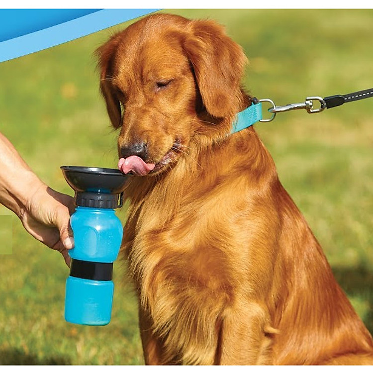 Bình Uống Nước Cho Chó Mèo 500ml - Màu Ngẫu Nhiên