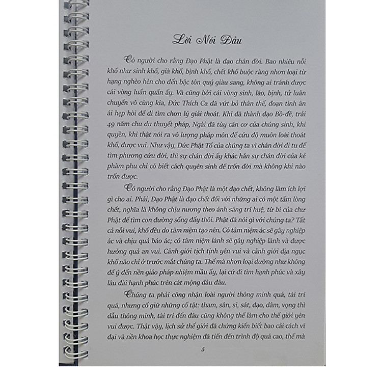 Tập chép Kinh Dược Sư Bổn Nguyện Công Đức - Ảnh 2