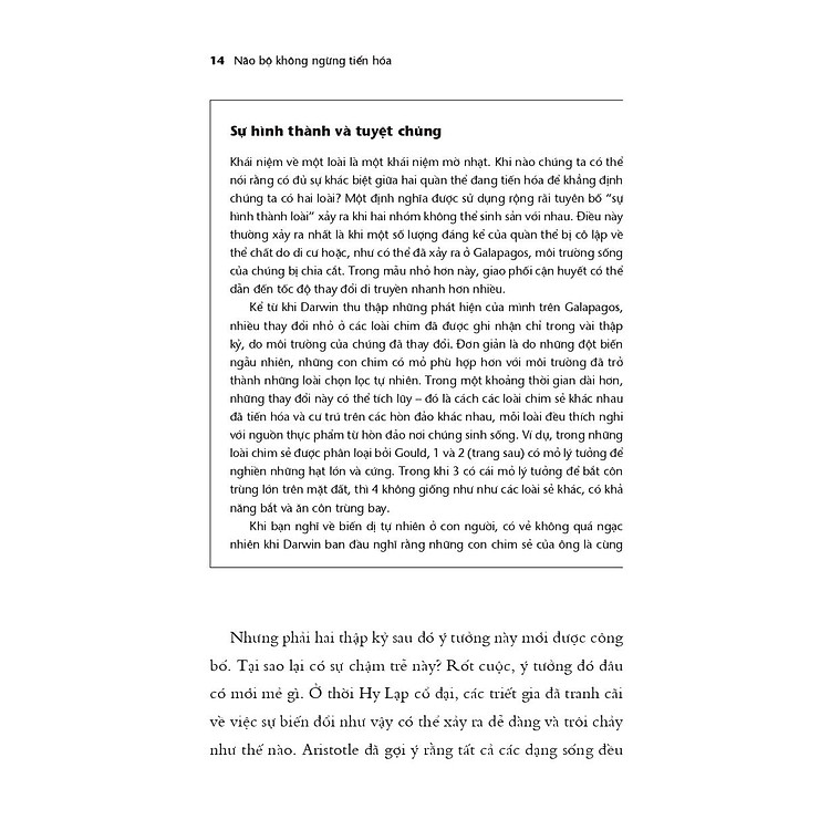 Não Bộ Không Ngừng Tiến Hóa: Trí Thông Minh Của Bạn Đến Từ Đâu? - Ảnh 4
