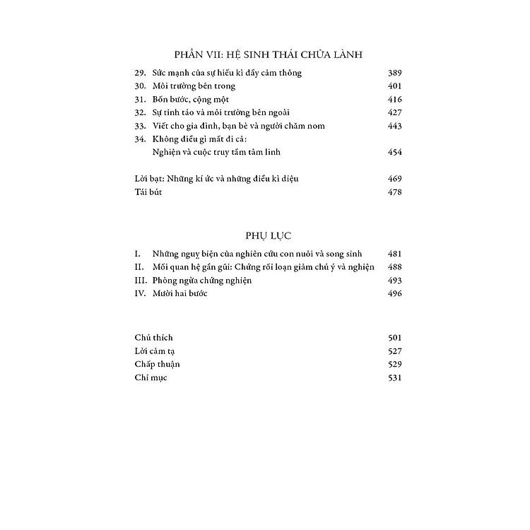 CÕI SỐNG CỦA NHỮNG CON MA ĐÓI – Hiểu Sâu Về Chứng Nghiện - Ảnh 5