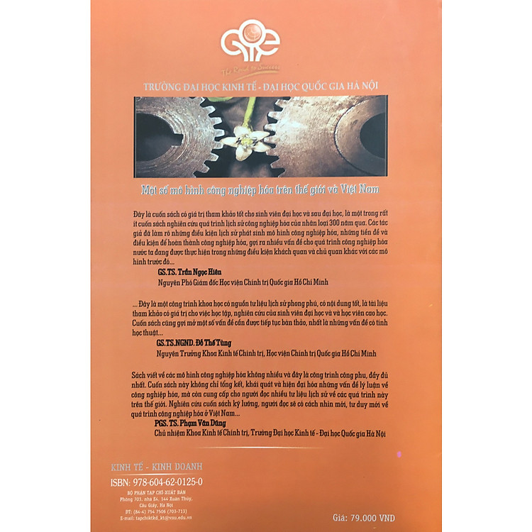 Một số mô hình công nghiệp hóa trên thế giới và Việt Nam - Ảnh 2