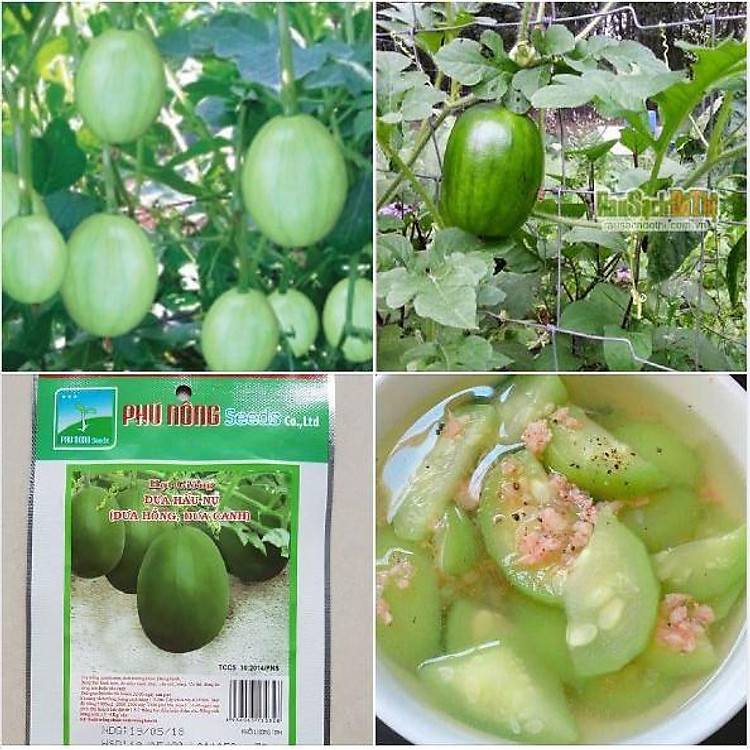 Hạt giống dưa hấu nụ - dưa hồng, dưa canh - Phú Nông 3gr/gói